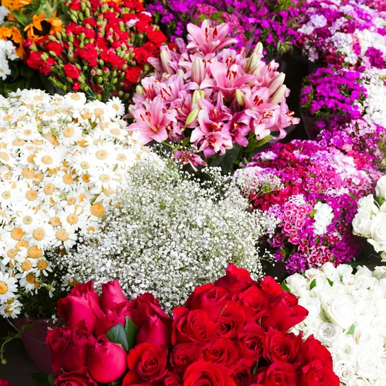 Everyday Bloom